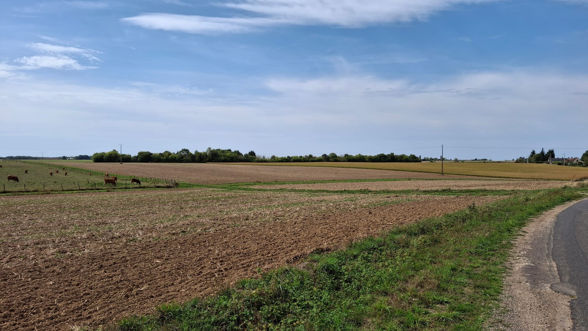 Somewhere on top of the world