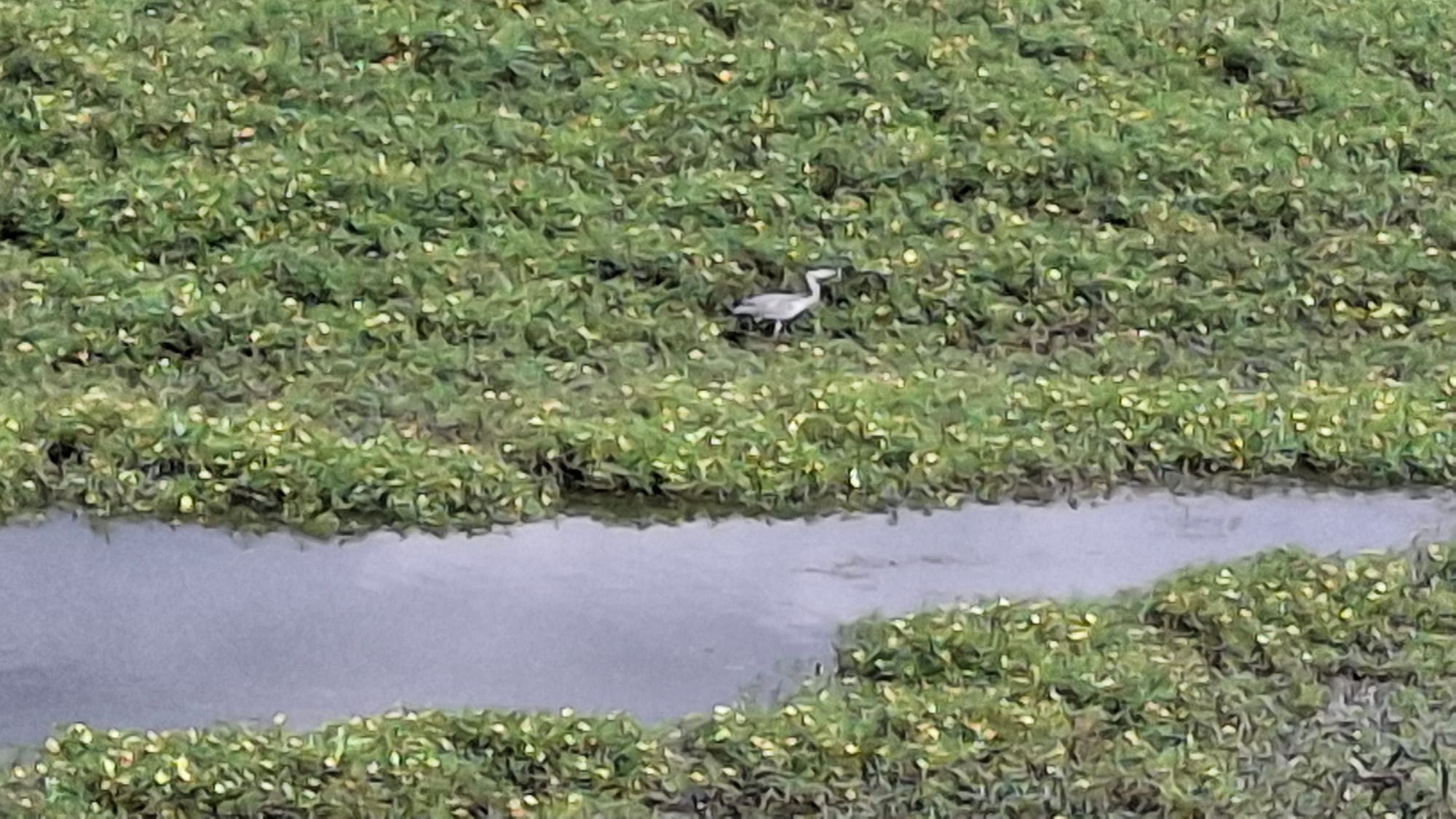 Where the Cher meets the Loire