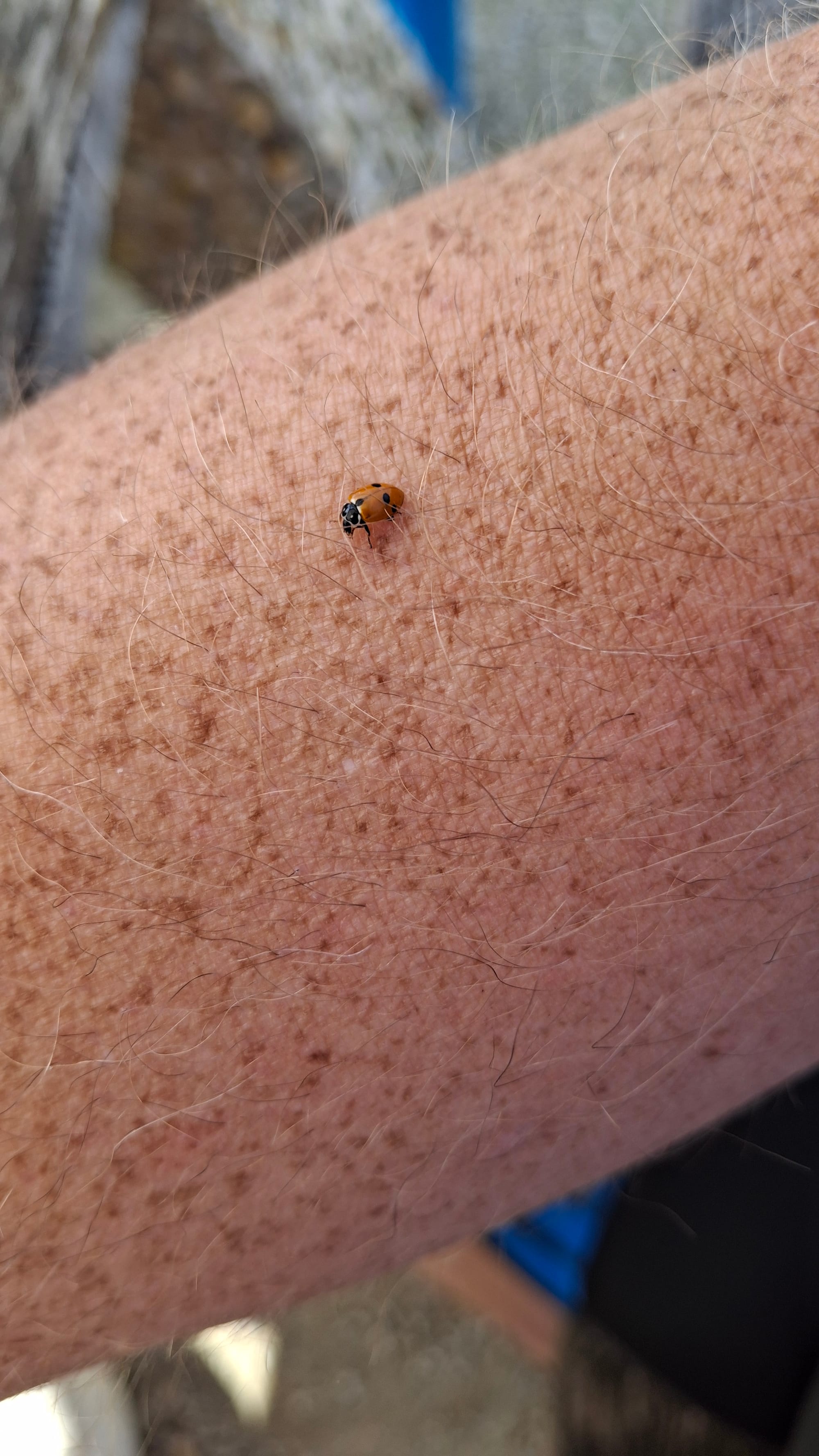 You've got a friend in me