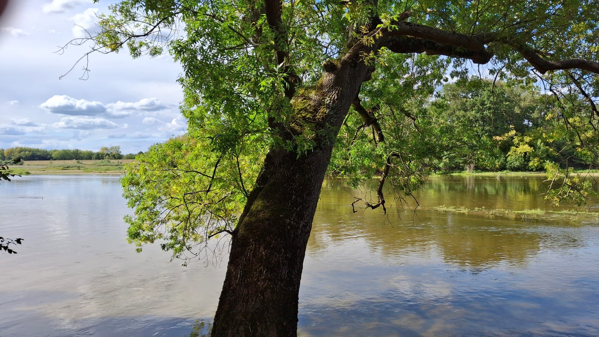 Our last view of the Loire today