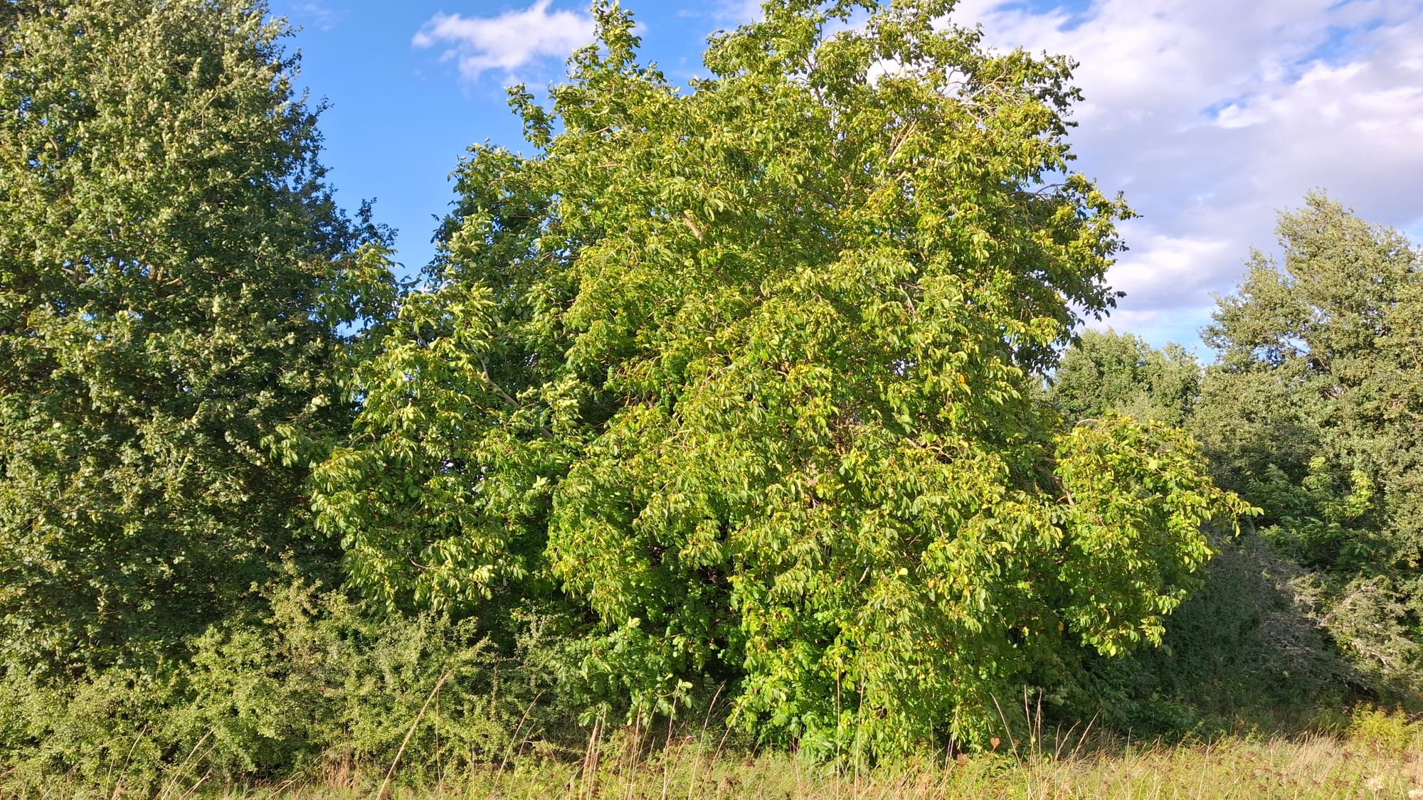 At the end of the day