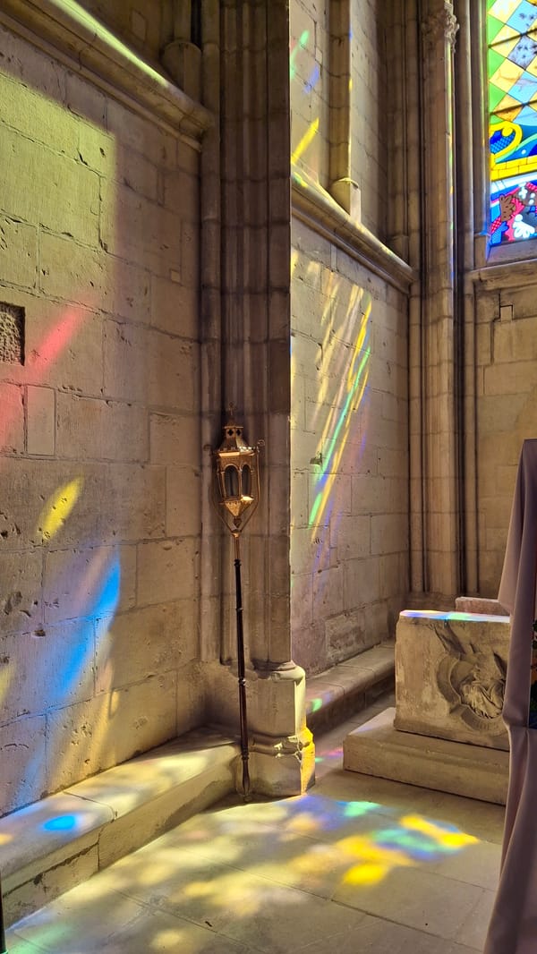 Sunshine After the Rain