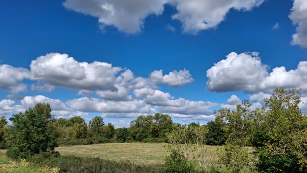 Little Fluffy Clouds