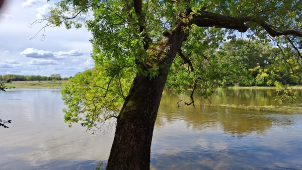 Our last view of the Loire today