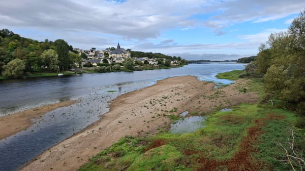 Where the Vienne meets the Loire