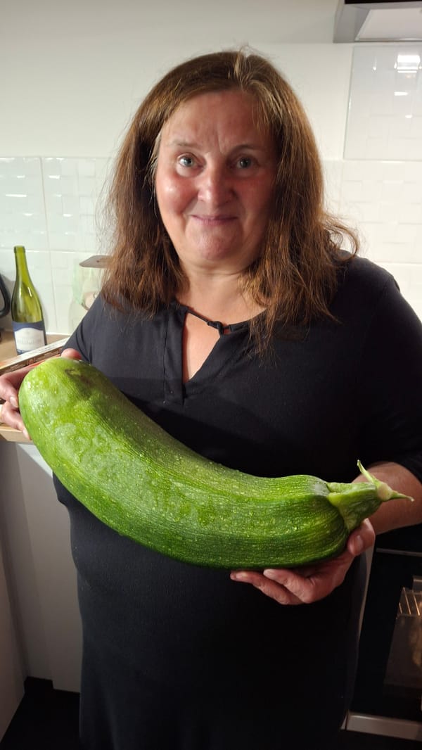 A little gift from our host!