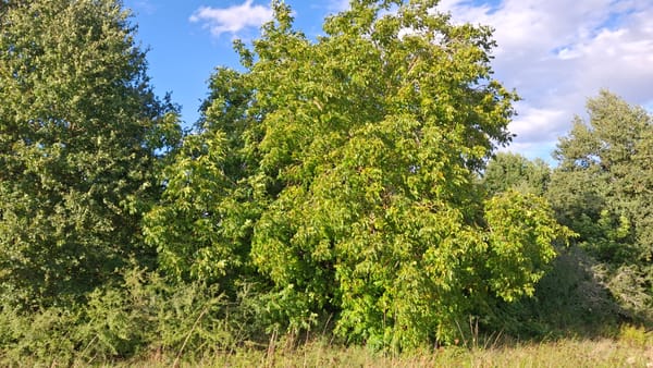 At the end of the day